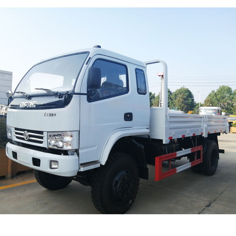 Dongfeng small cargo truck